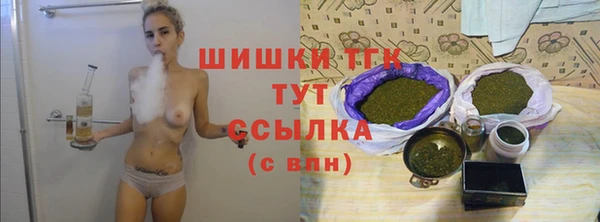 мдпв Богородицк