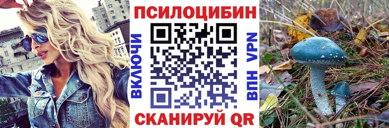 Галлюциногенные грибы GOLDEN TEACHER  Купить закладки  Горно-Алтайск 