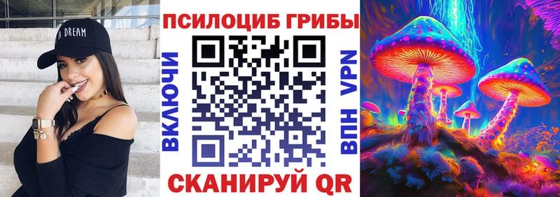 Псилоцибиновые грибы ЛСД Горно-Алтайск